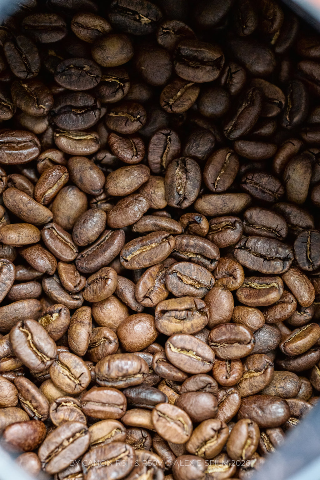 100% Arabica Coffee Beans 220g Half Pound - Bean Type "E"